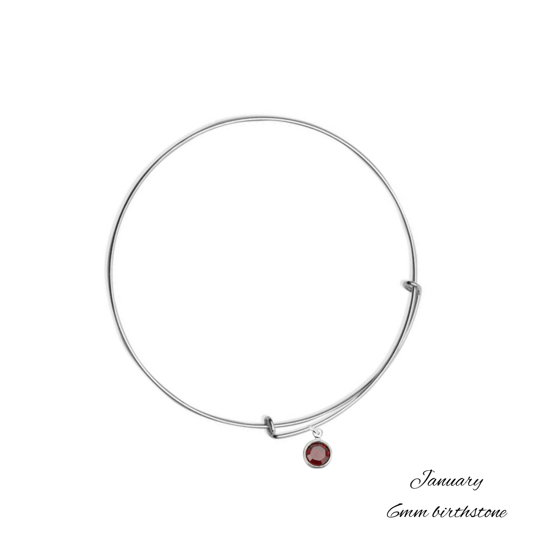 Alex and ani birthstone bracelet january discount